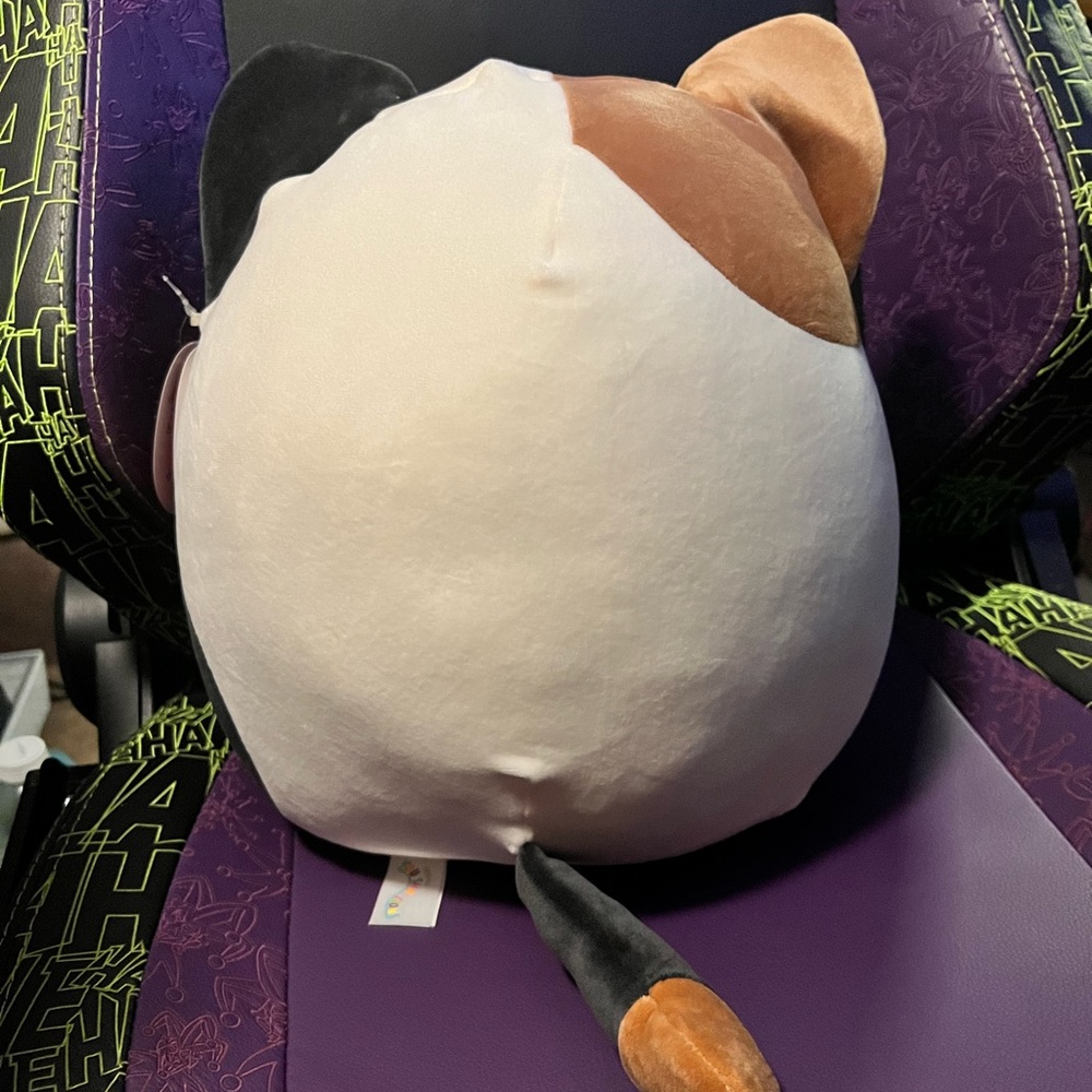 Squishmallows Cam the Valentine’s Day Cat 12” Stuffed Plush - Picture 3 of 3